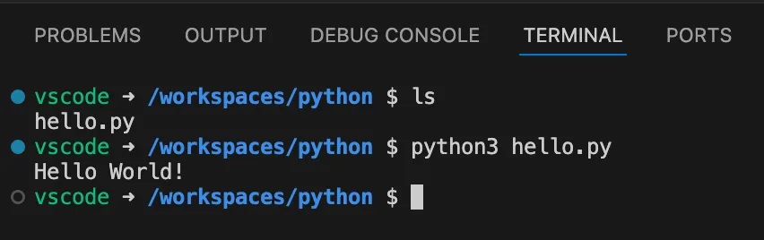 run python in container